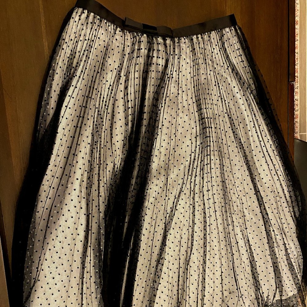 NWT White House Black Market Dot Tulle Poppy Skirt